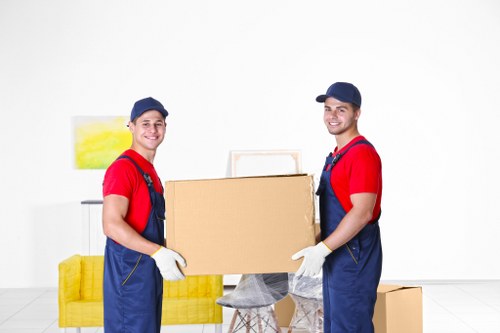 Packing supplies for a Ponders End move