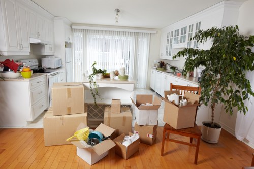 Professional movers handling household items