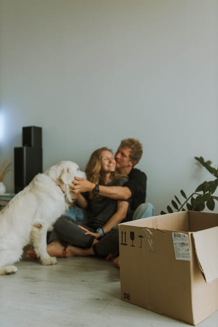 A white retriever laying on a light-colored floor inside a home during a house move, with its tongue out and appearing relaxed. Behind the dog, two individuals are seated on the floor amidst moving bo